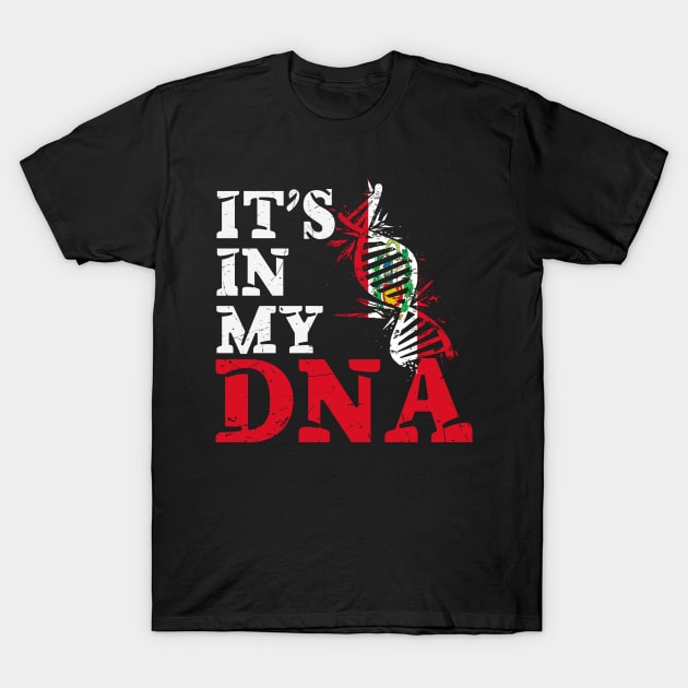 It's in my DNA - Peru T-Shirt by JayD World